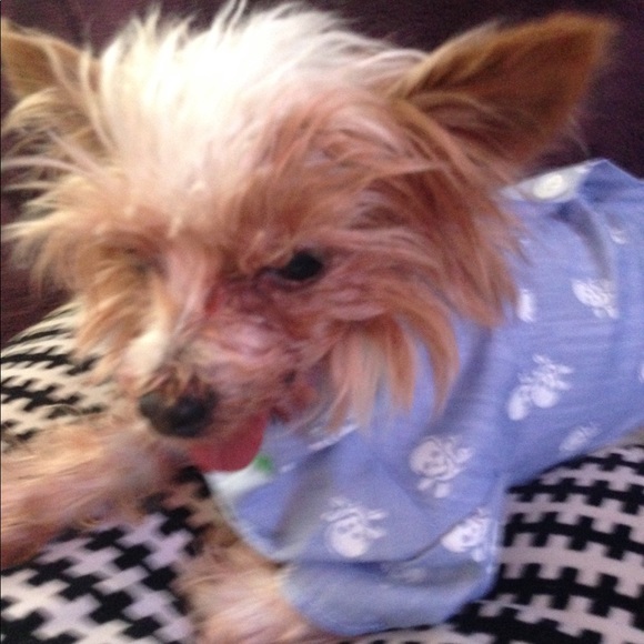 Meet your Posher, Pohlina - Picture 3 of 3